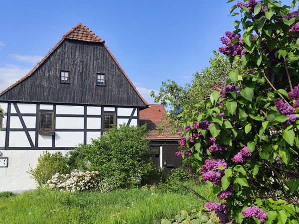 Wohnung Zur Hohle in Dresden