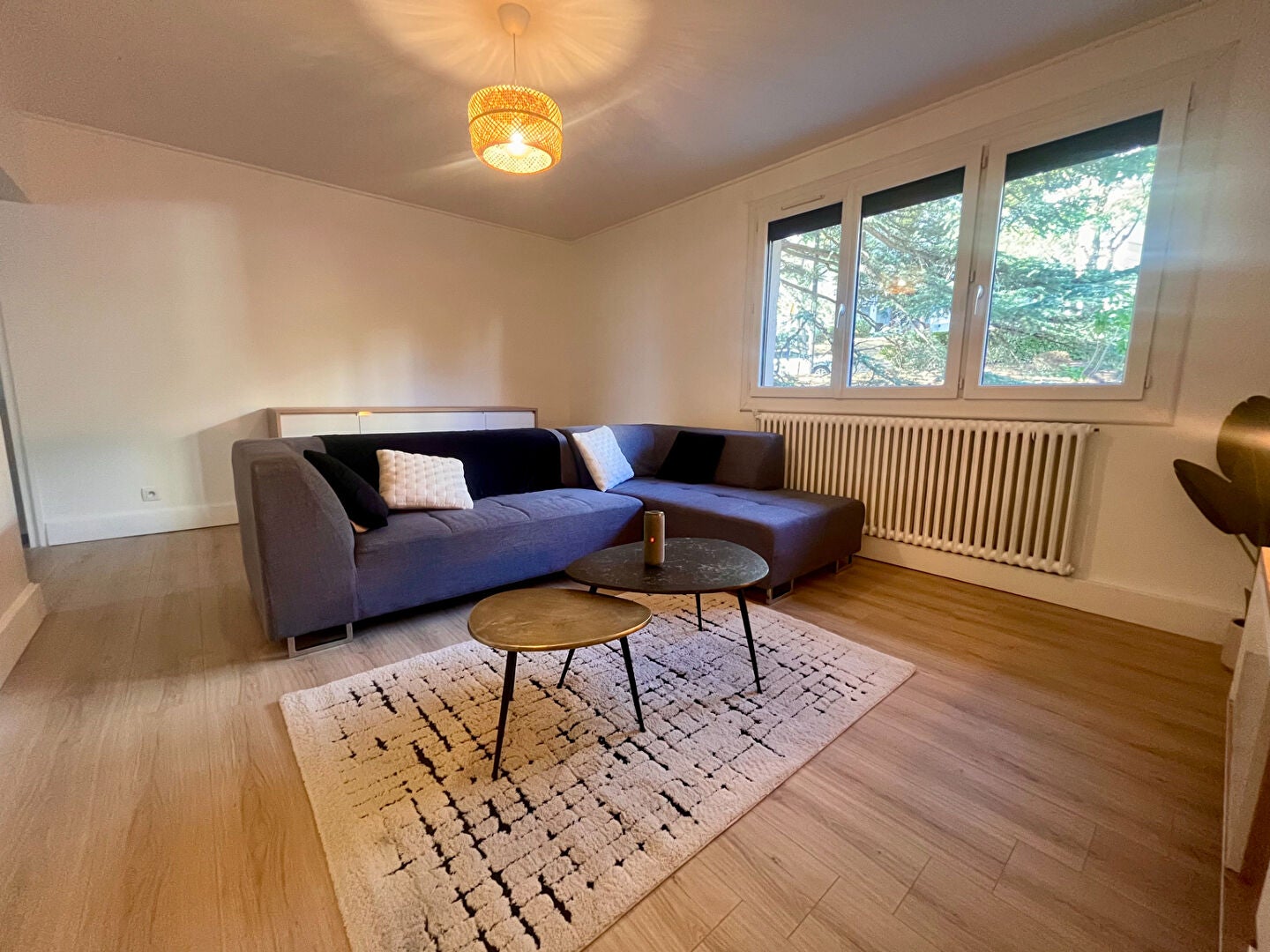 Appartement Allées Charles de Fitte à Toulouse