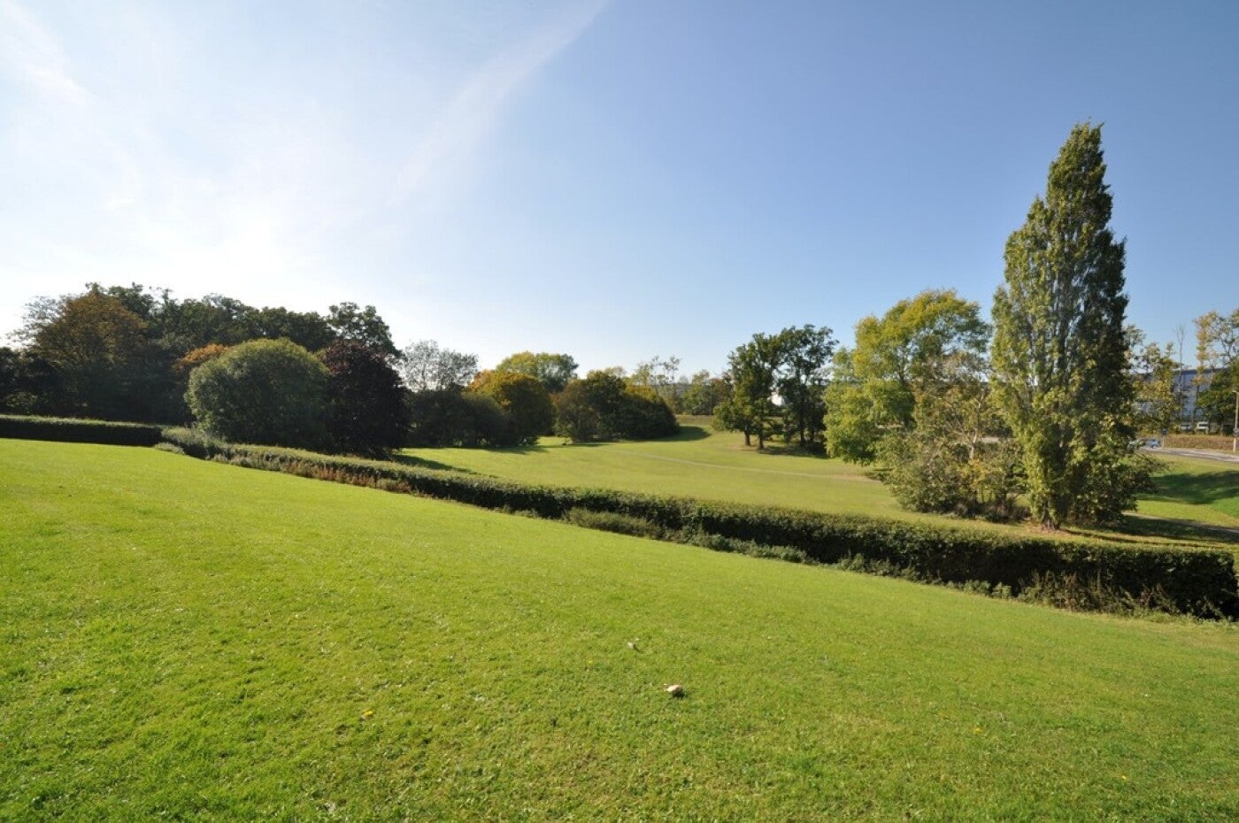 Flat Daniells in Welwyn Hatfield