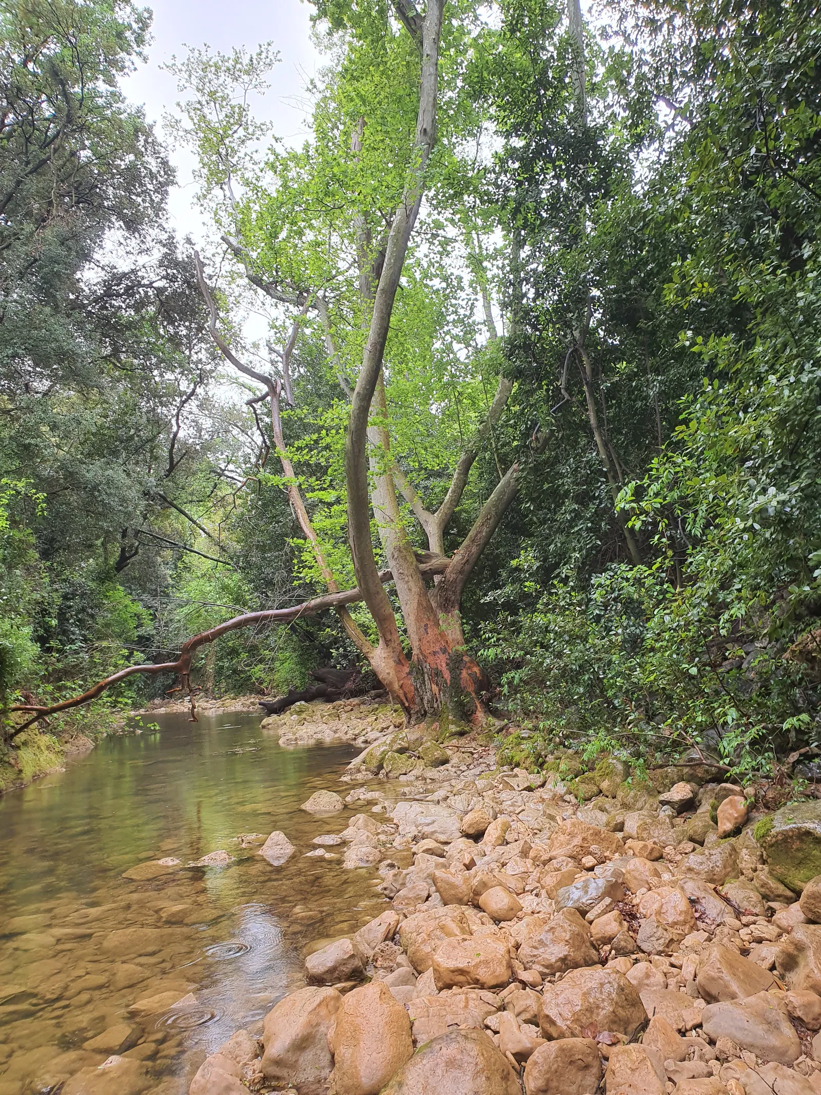 Chambre Route du Val d'Ardène à Toulon