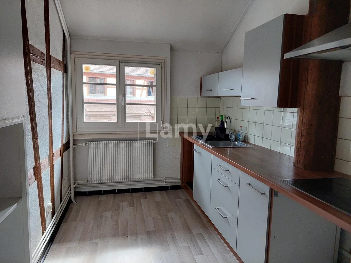 Flat Petite Rue des Tanneurs in Colmar
