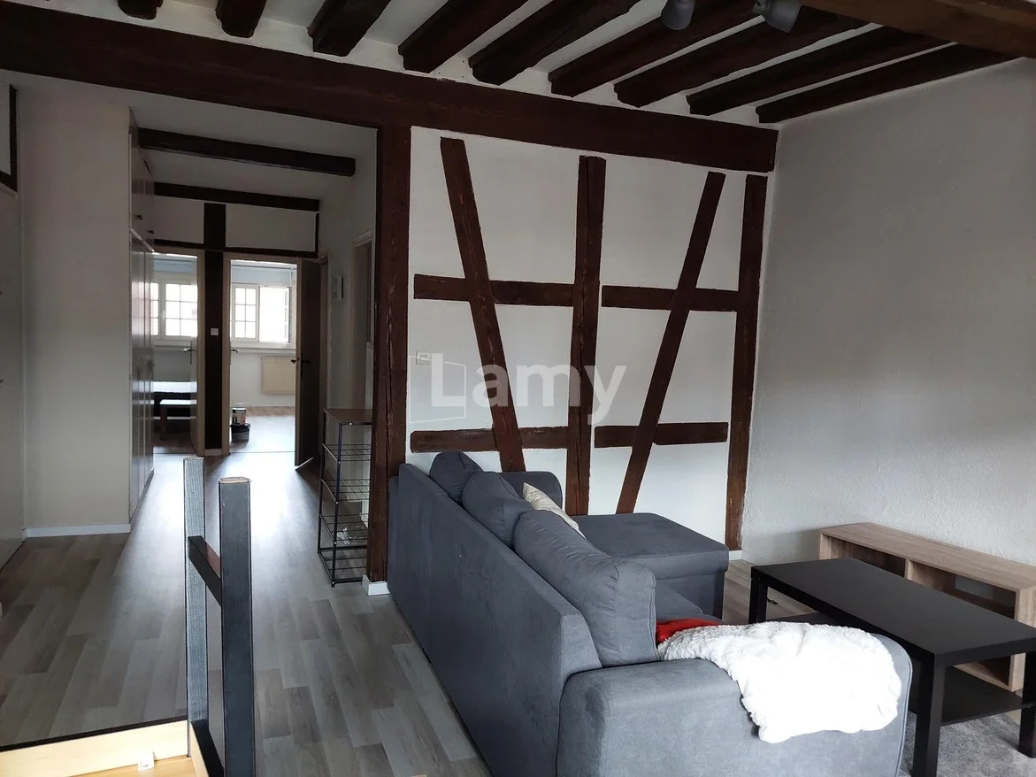 Flat Petite Rue des Tanneurs in Colmar