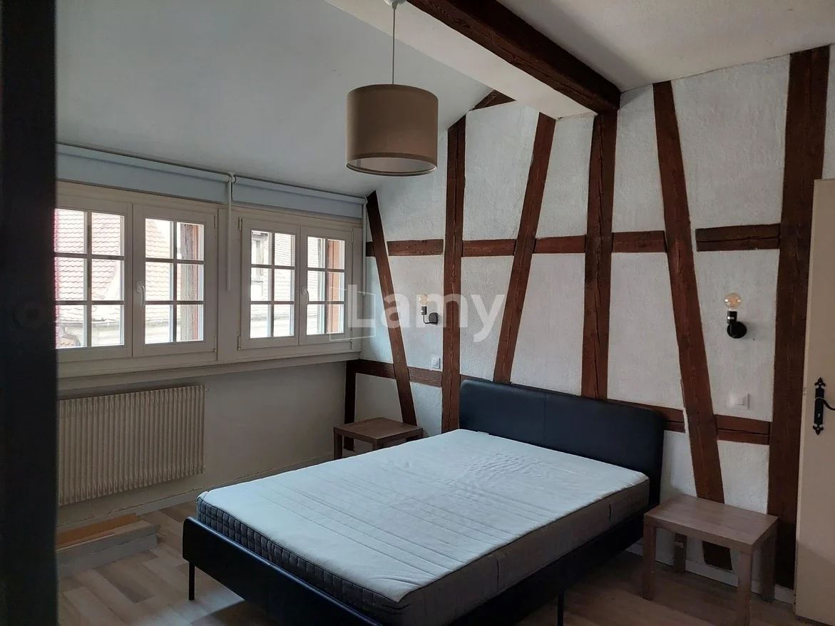 Appartement Petite Rue des Tanneurs à Colmar