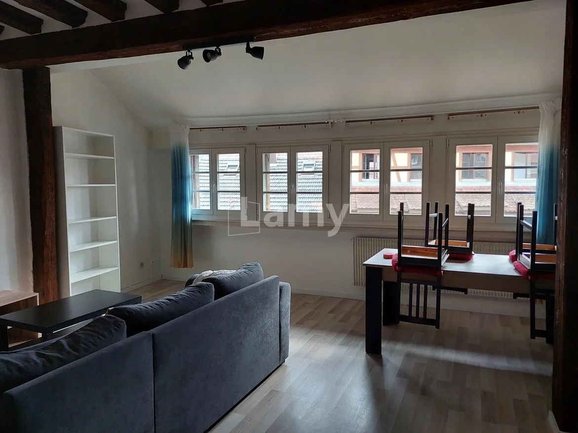 Flat Petite Rue des Tanneurs in Colmar