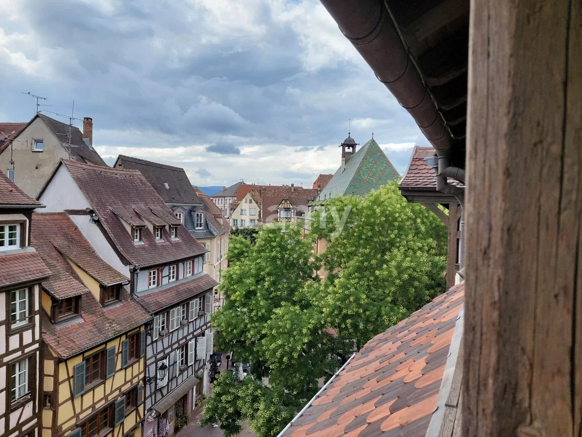 Flat Petite Rue des Tanneurs in Colmar