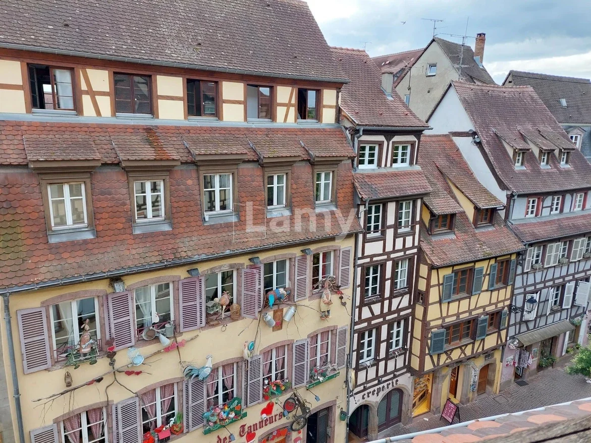 Flat Petite Rue des Tanneurs in Colmar