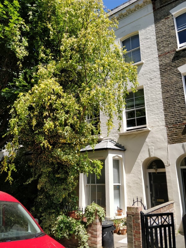 House Woodfall Road in Greater London