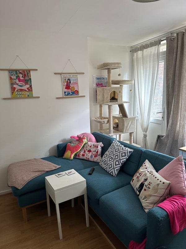 Room Ramsey Street in Greater London