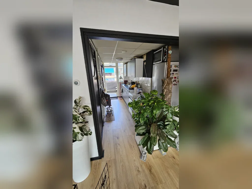 Appartement Adriaan Pauwstraat 2