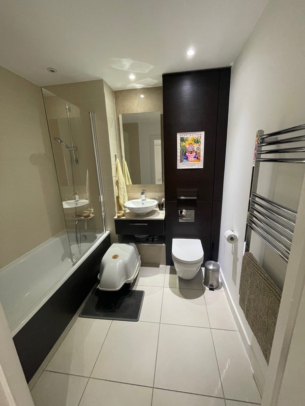 Room Radial Avenue in Greater London