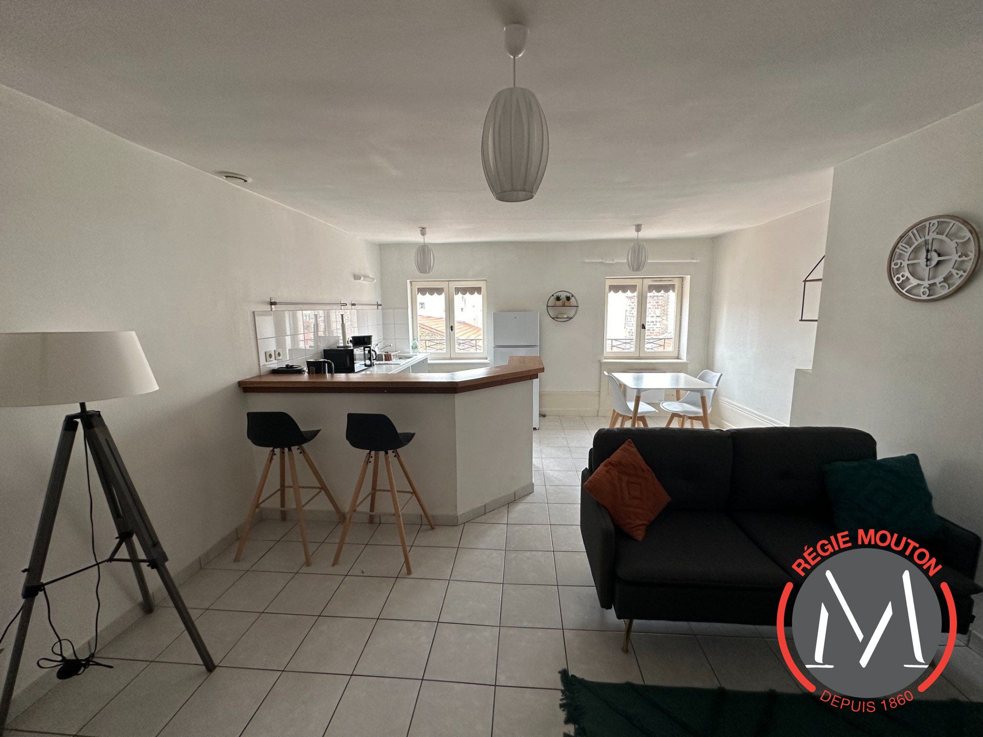 Appartement Rue des Marronniers à Lyon