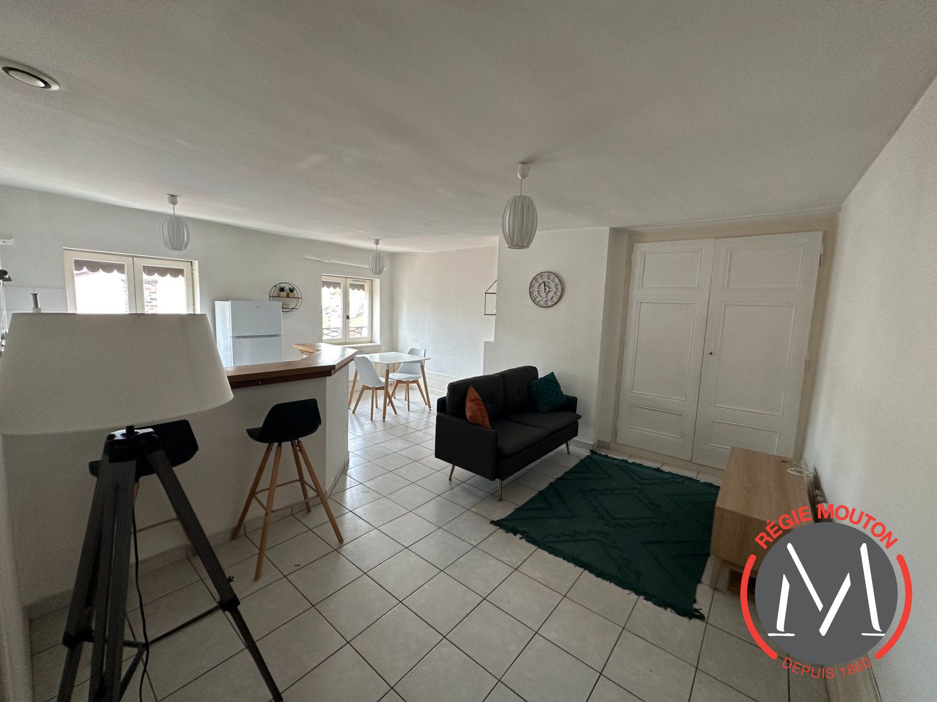 Appartement Rue des Marronniers à Lyon