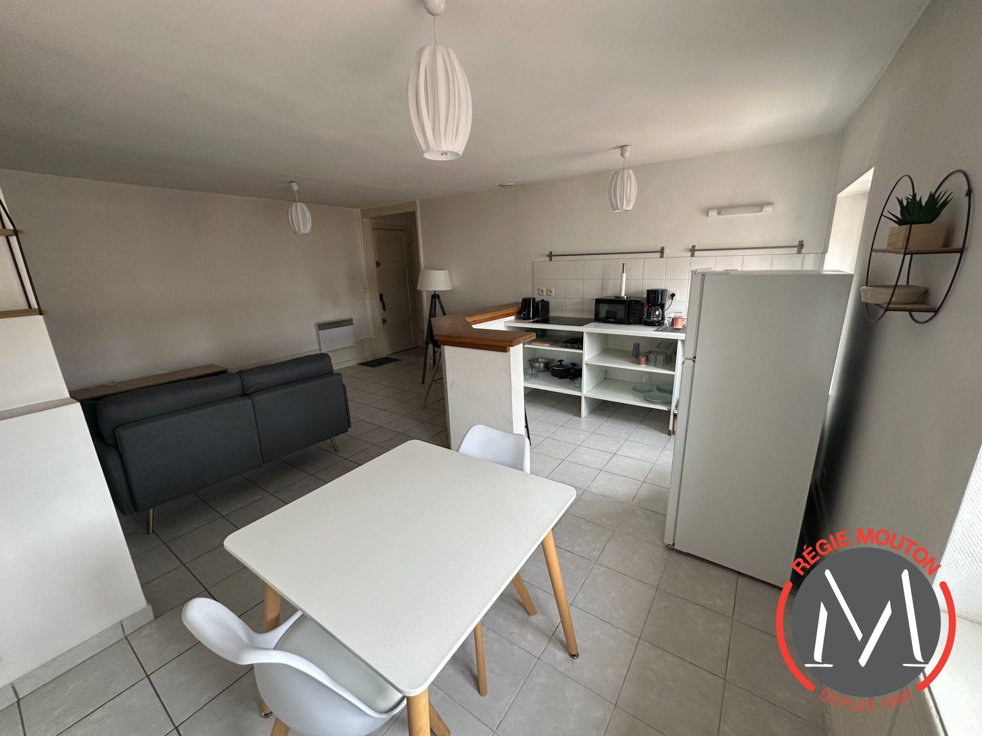 Appartement Rue des Marronniers à Lyon