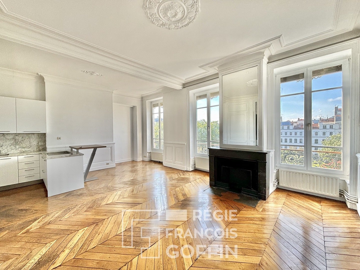 Appartement Quai Victor Augagneur à Lyon