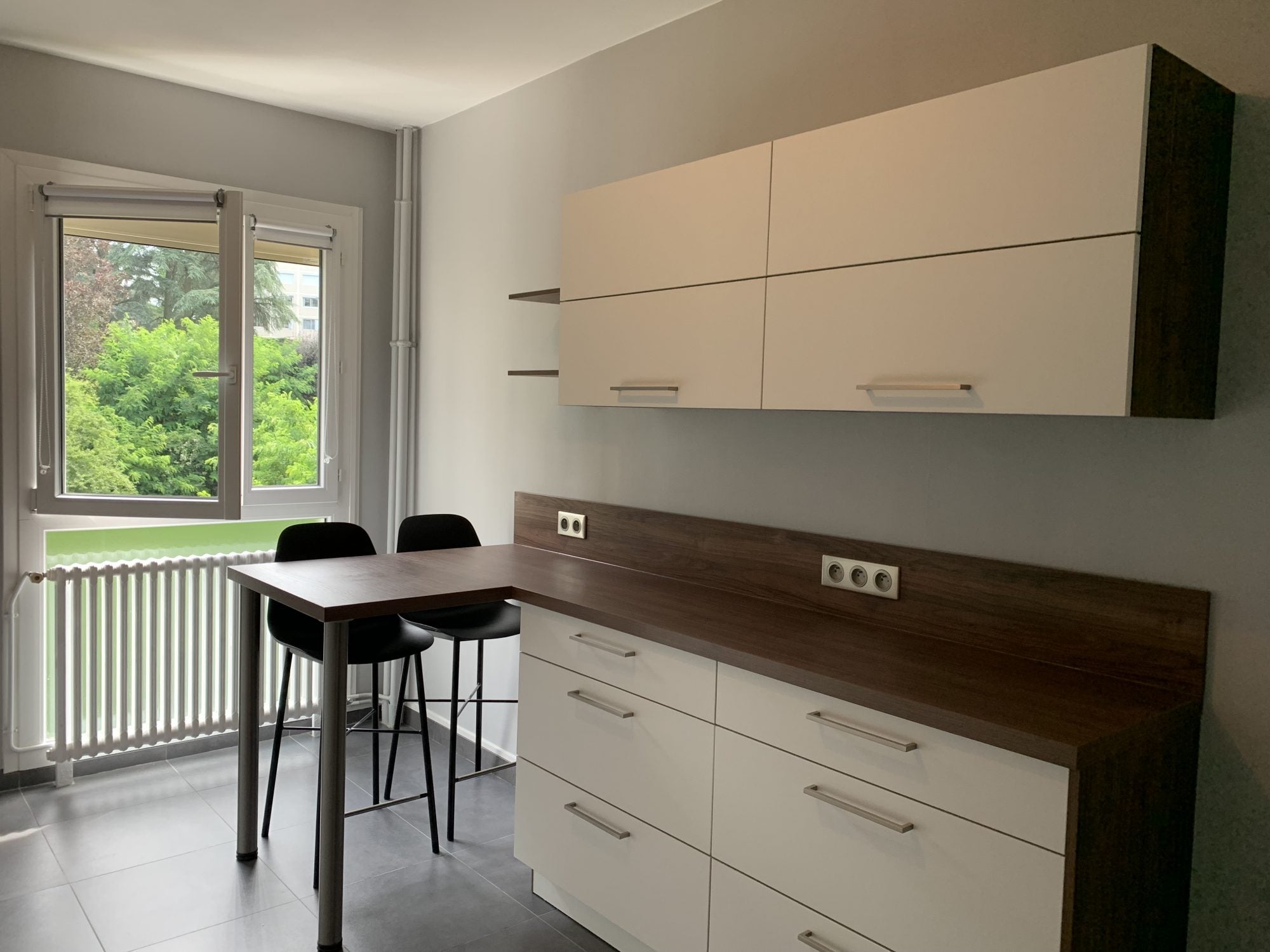 Flat Rue Docteur Edmond Locard in Lyon