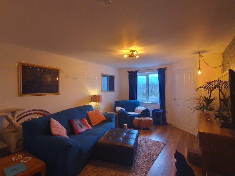 House Orchard Rise in Newcastle upon Tyne