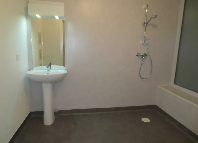 Appartement Place Dumas de Loire à Lyon