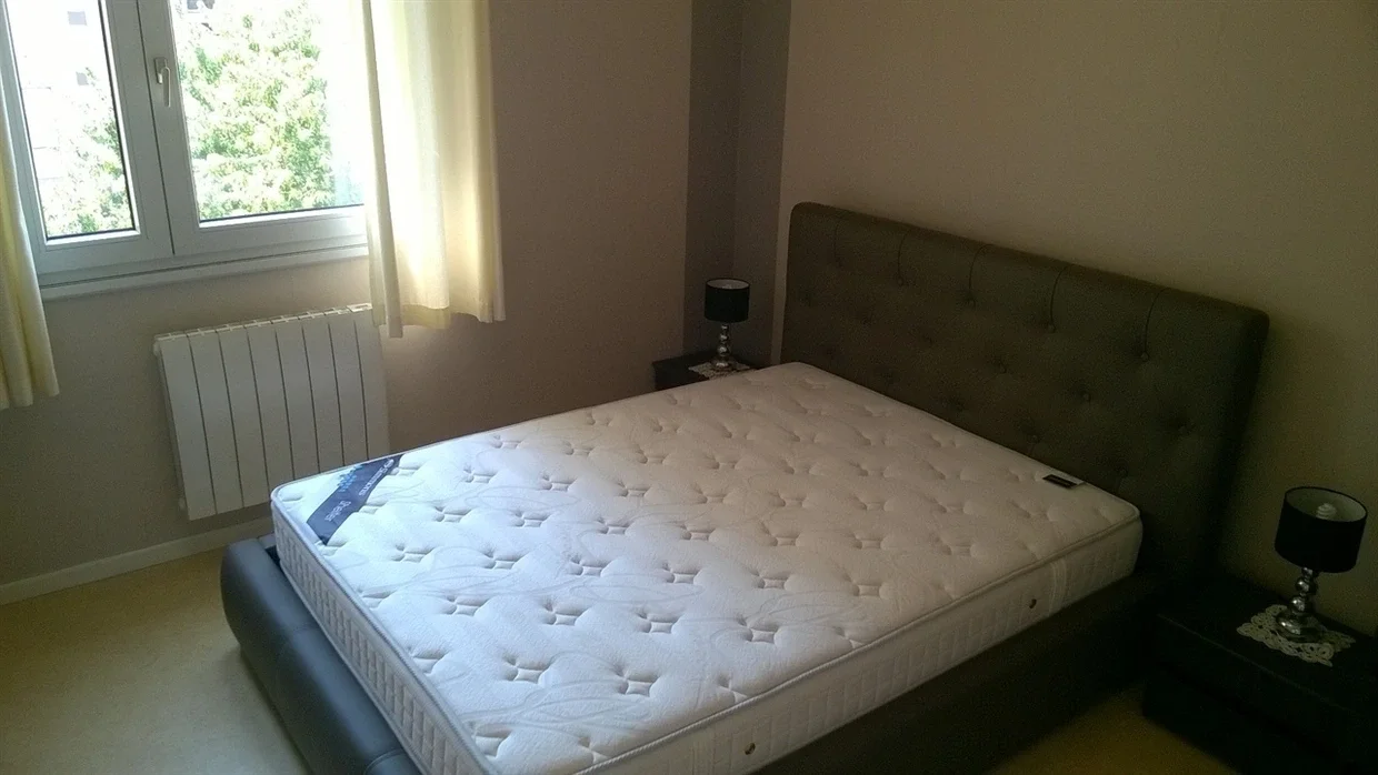 Appartement Rue Garibaldi à Lyon