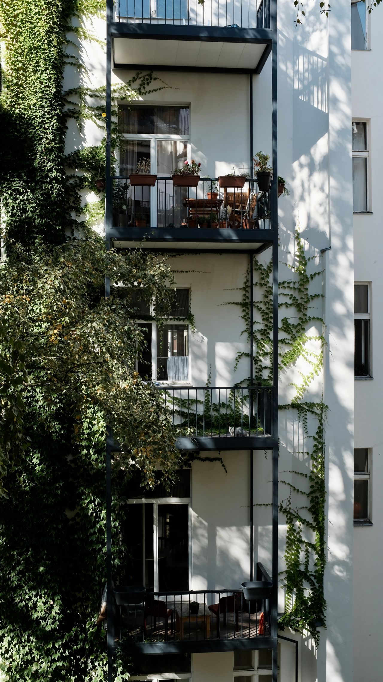 Wohnung Eylauer Straße in Berlin