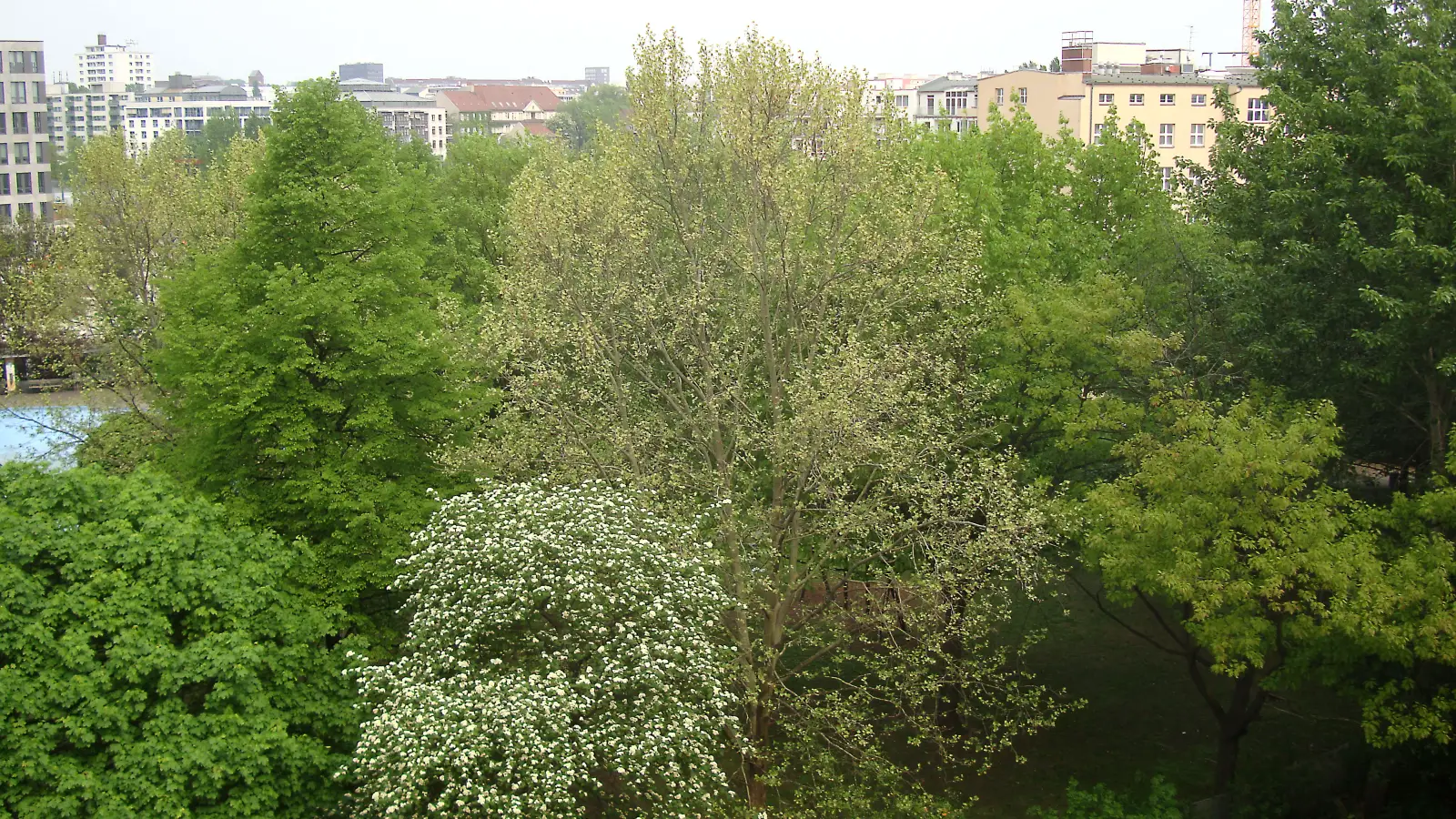 Wohnung Eichendorffstraße in Berlin