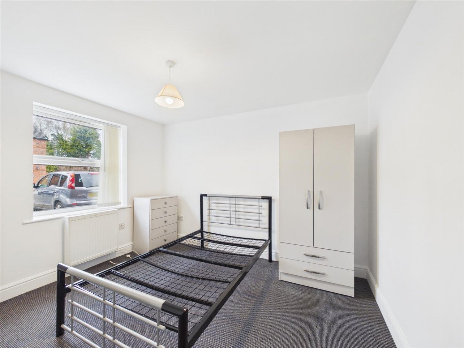 Flat Willow Tree Close in Lincoln