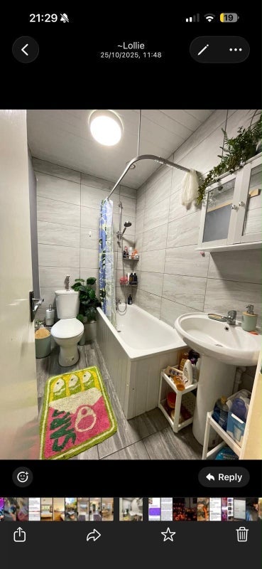 Room Shacklewell Lane in Greater London