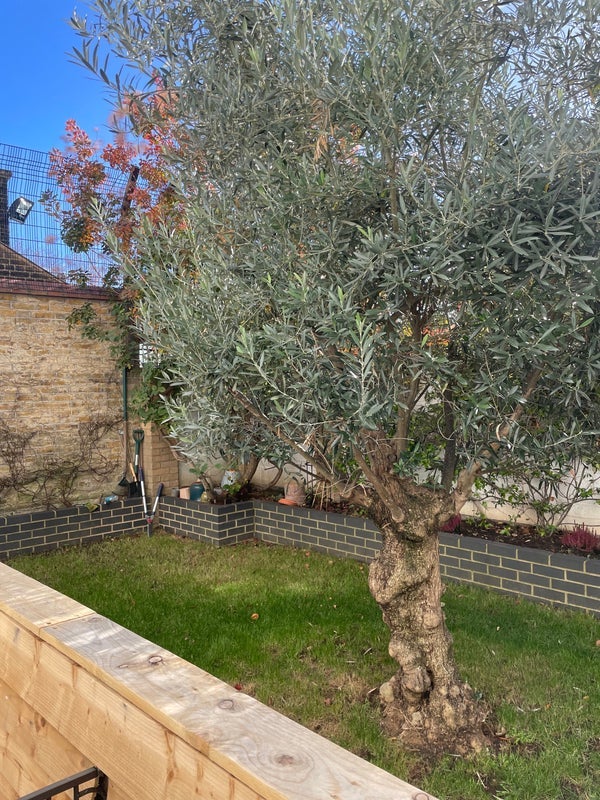 Flat Mowlem Street in Greater London