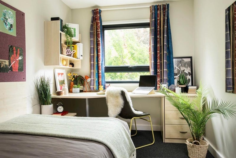 Room Toby Lane in Greater London
