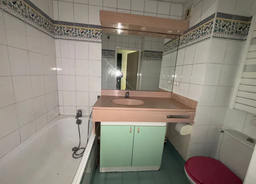Flat Rue du Docteur Bonhomme in Lyon