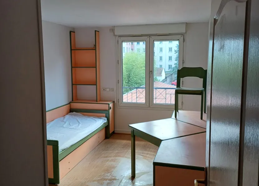 Flat Rue du Docteur Bonhomme in Lyon