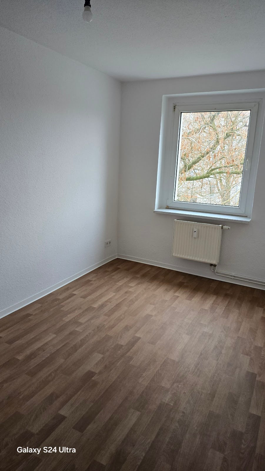 Wohnung Nordstraße in Wittenberg
