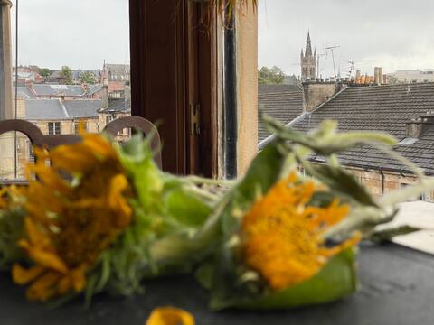 Room Roxburgh Street in Glasgow