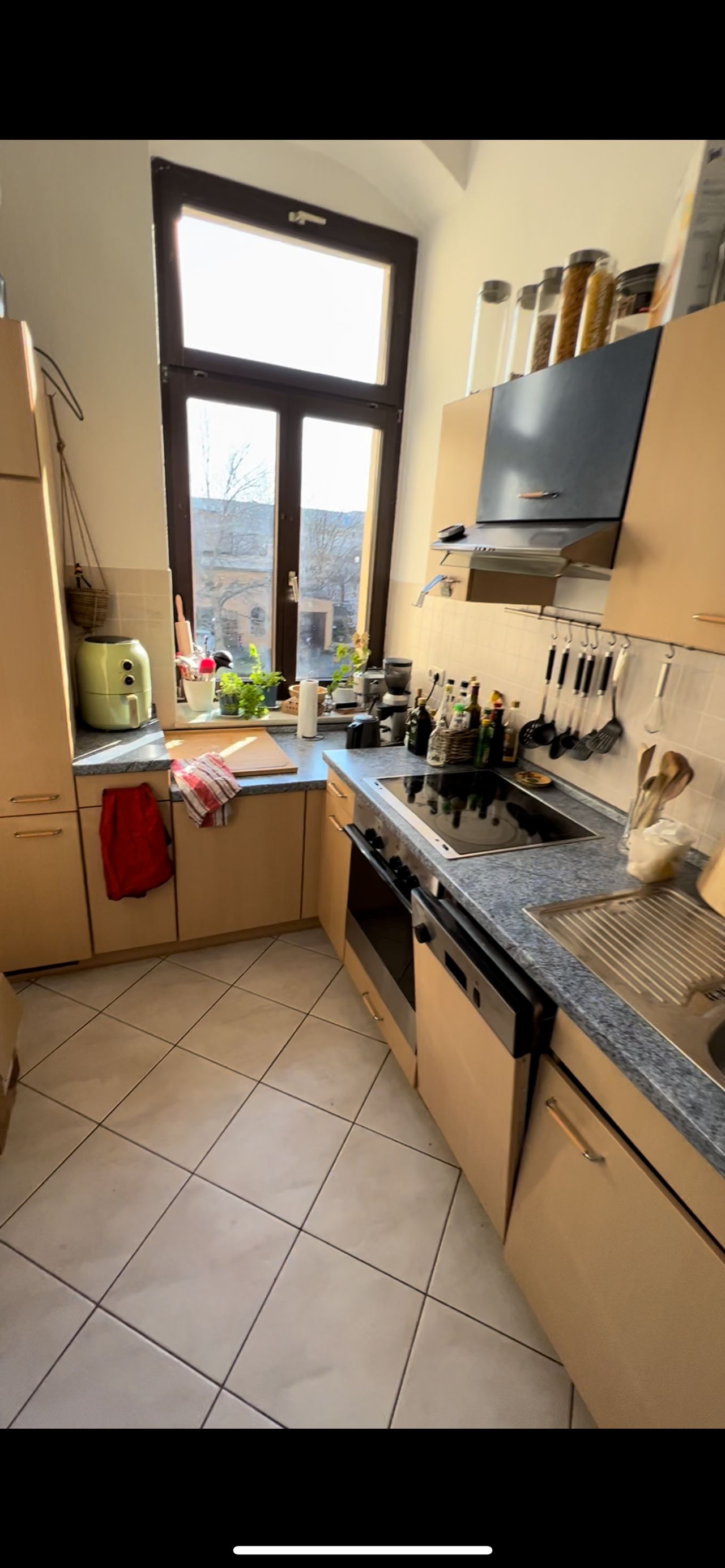 Wohnung Seminarstraße in Dresden