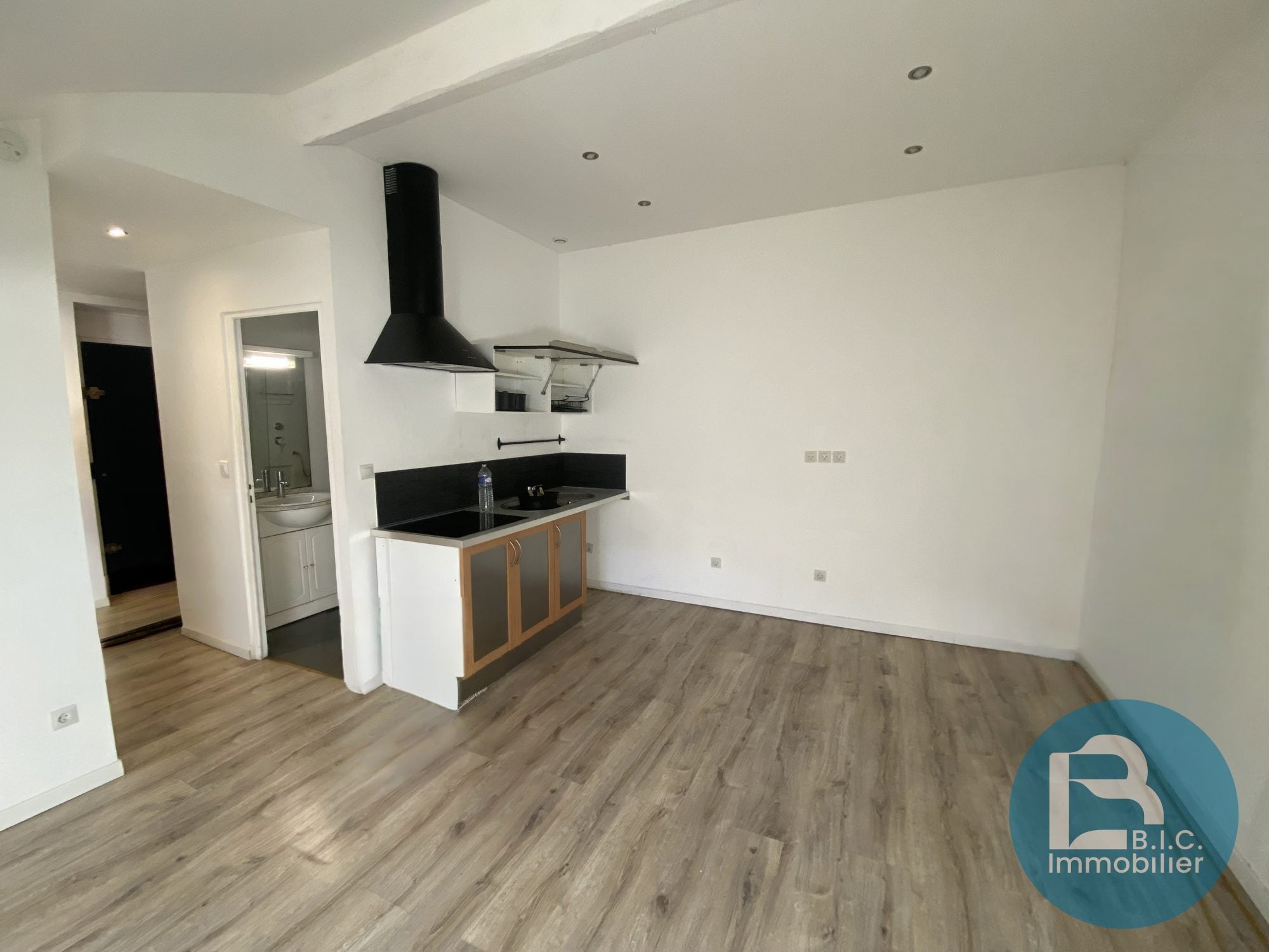Appartement Avenue Félix Faure à Lyon