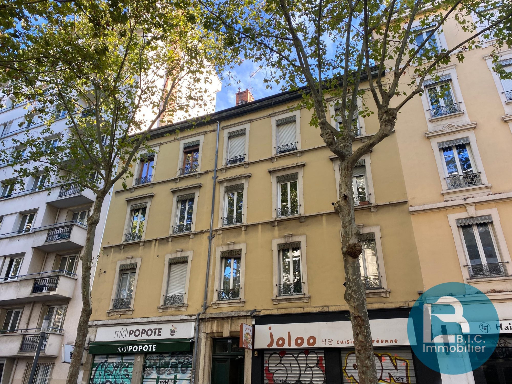 Flat Avenue Félix Faure in Lyon
