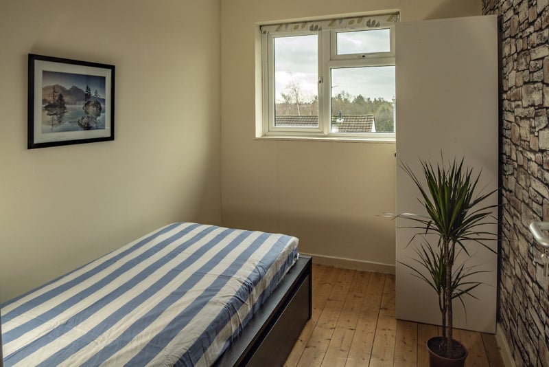 Room Andrews Place in Chelmsford