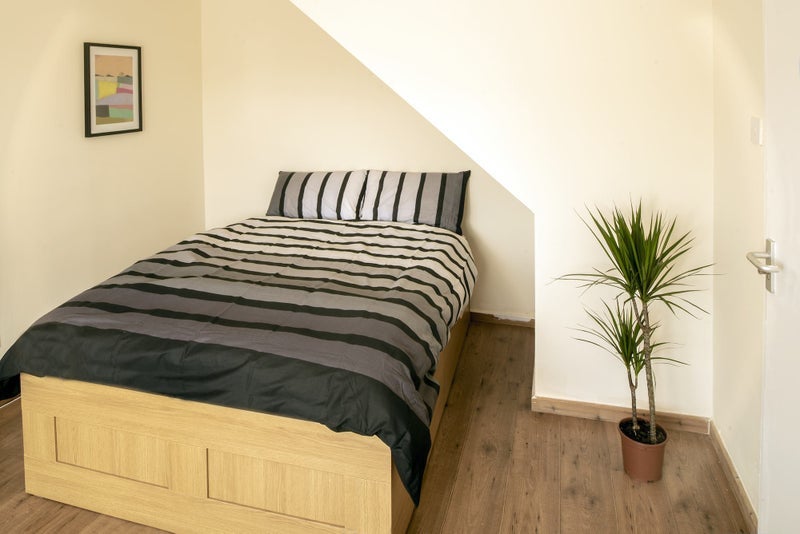 Room Andrews Place in Chelmsford