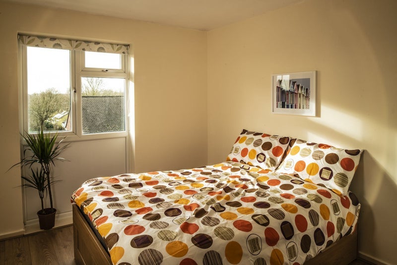 Room Andrews Place in Chelmsford