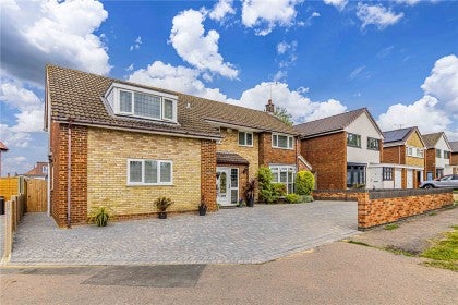 House Hornbeams in St Albans