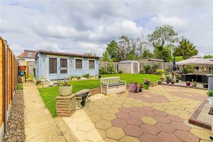 House Hornbeams in St Albans
