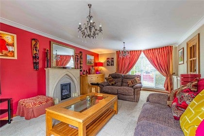 House Hornbeams in St Albans