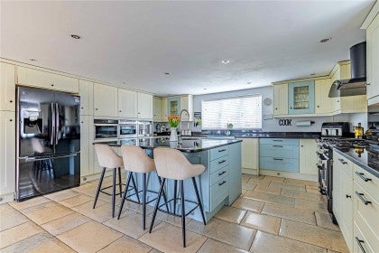 House Hornbeams in St Albans