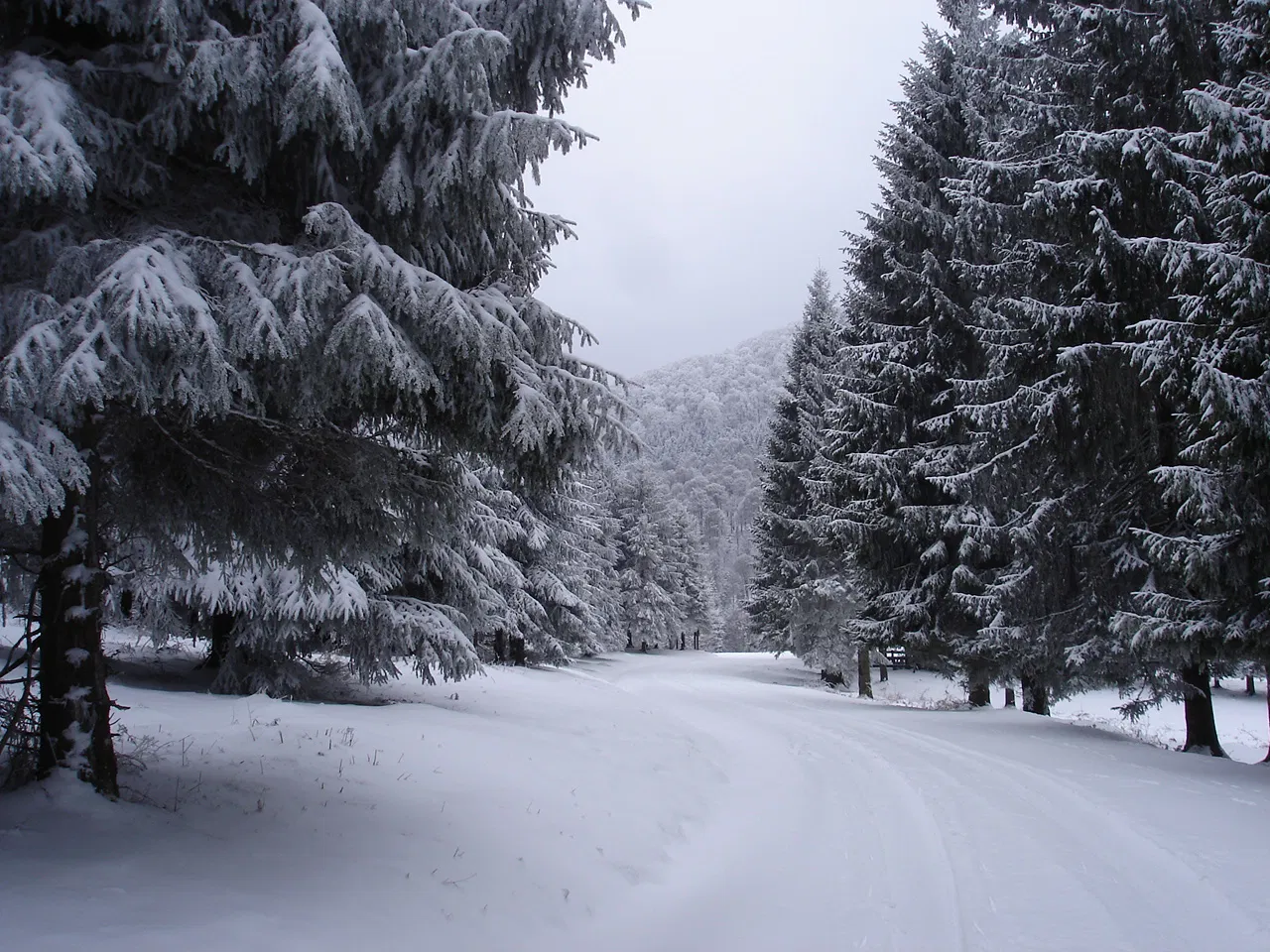 House Avenue de la Mongie in Pouzac