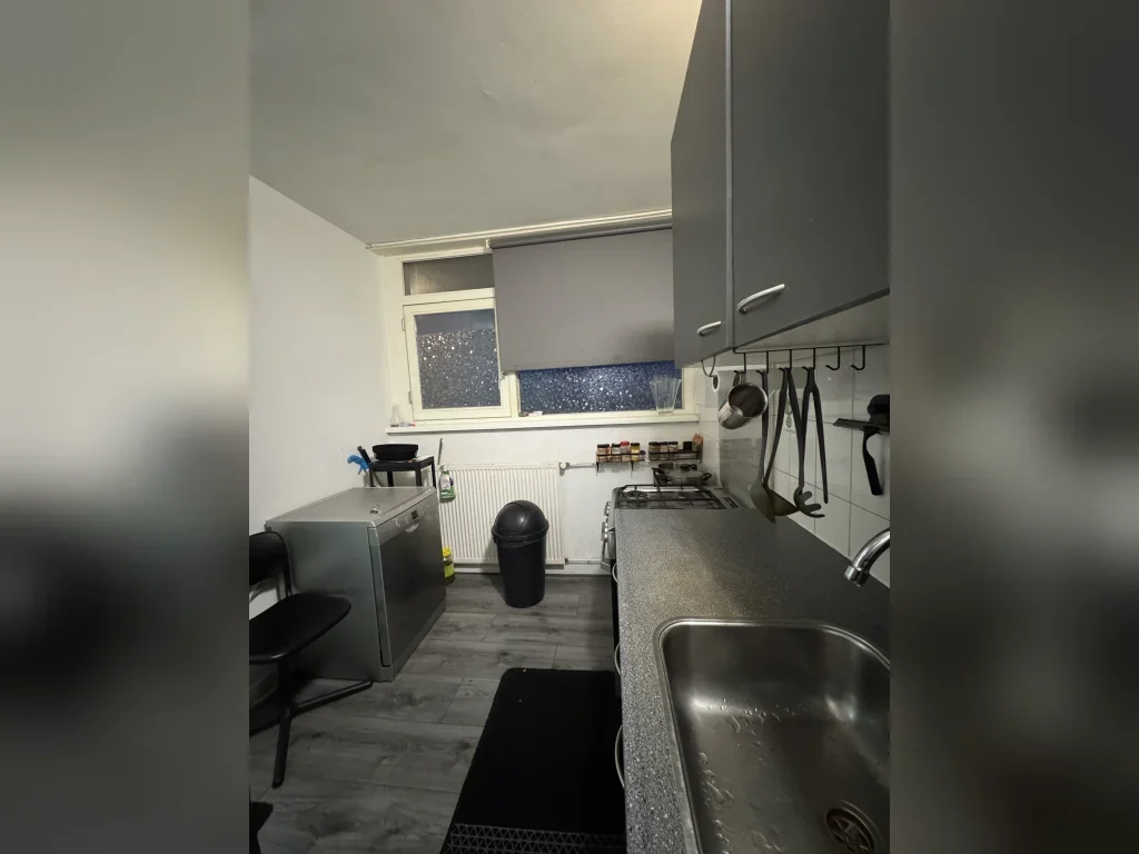 Appartement Pa van der Steurstraat 14