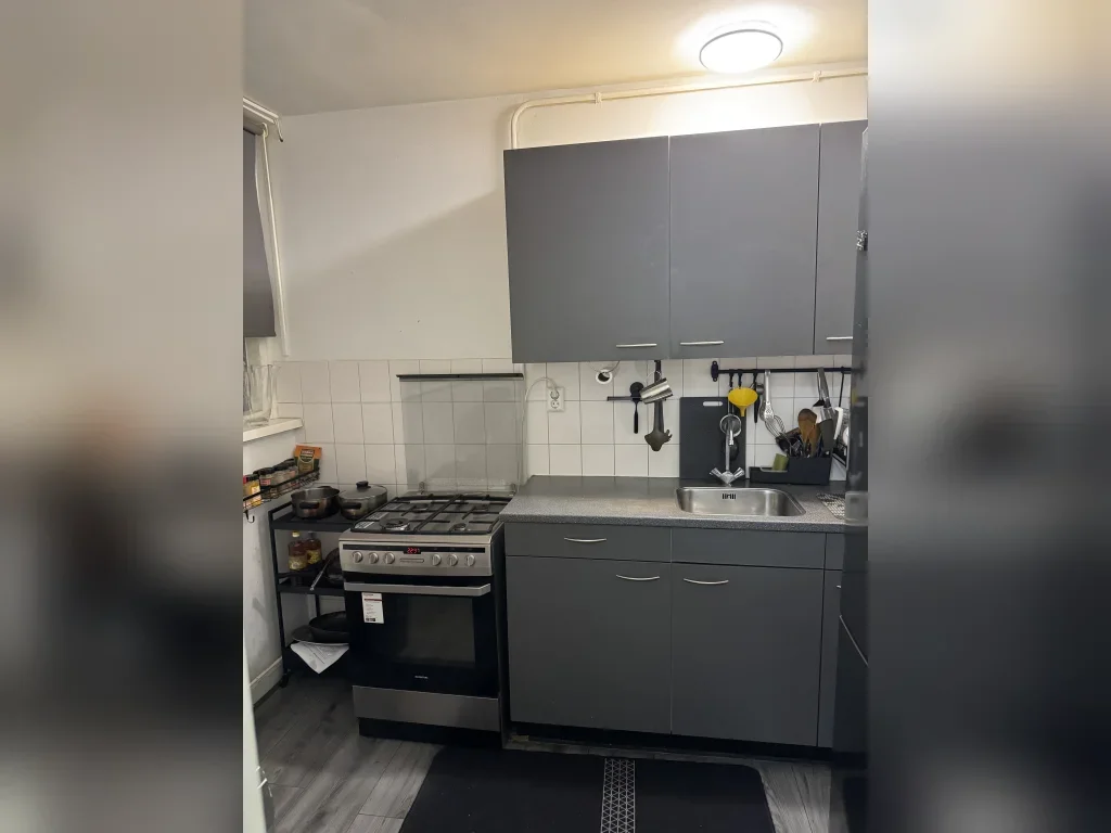 Appartement Pa van der Steurstraat 18