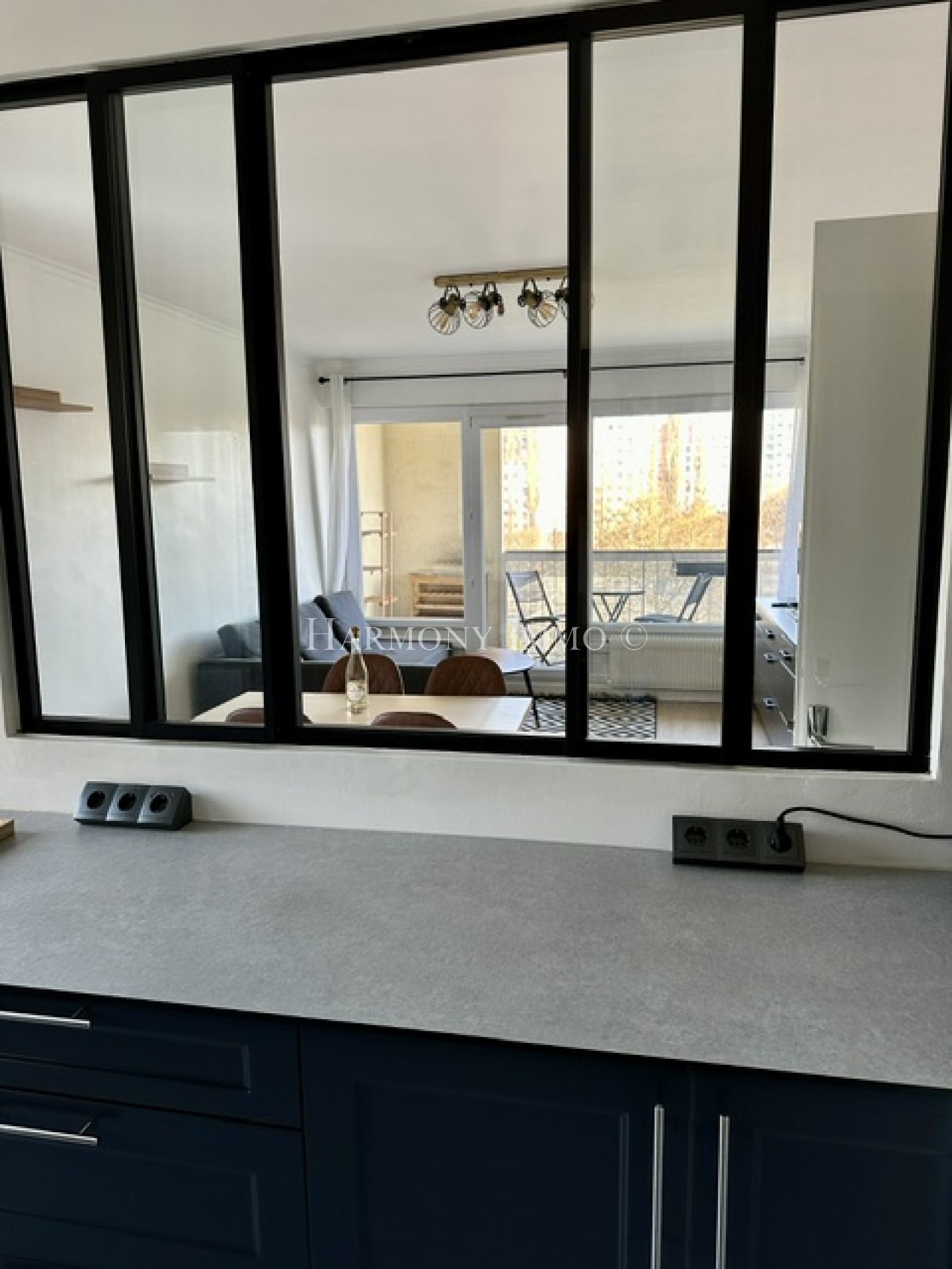 Appartement Rue Adolphe Pajeaud à Antony