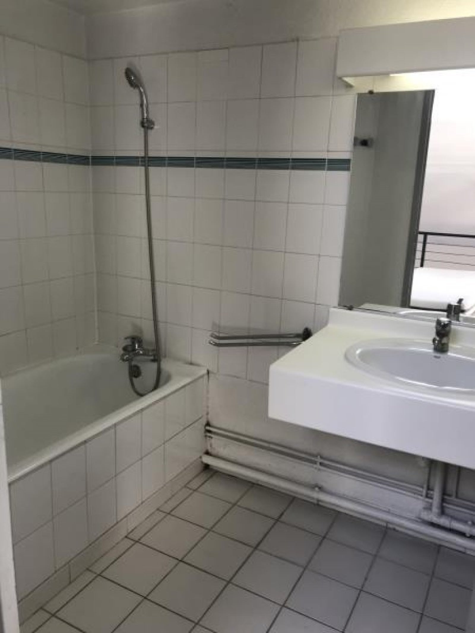 Appartement Rue Salomon Reinach à Lyon