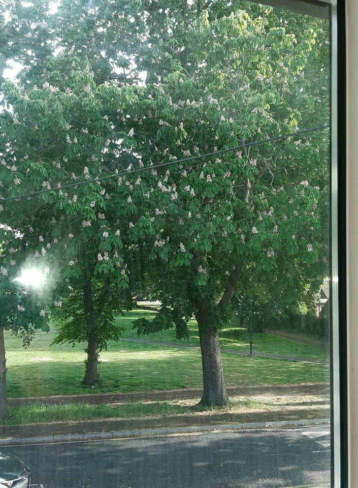 Room Hallmead Road in Greater London