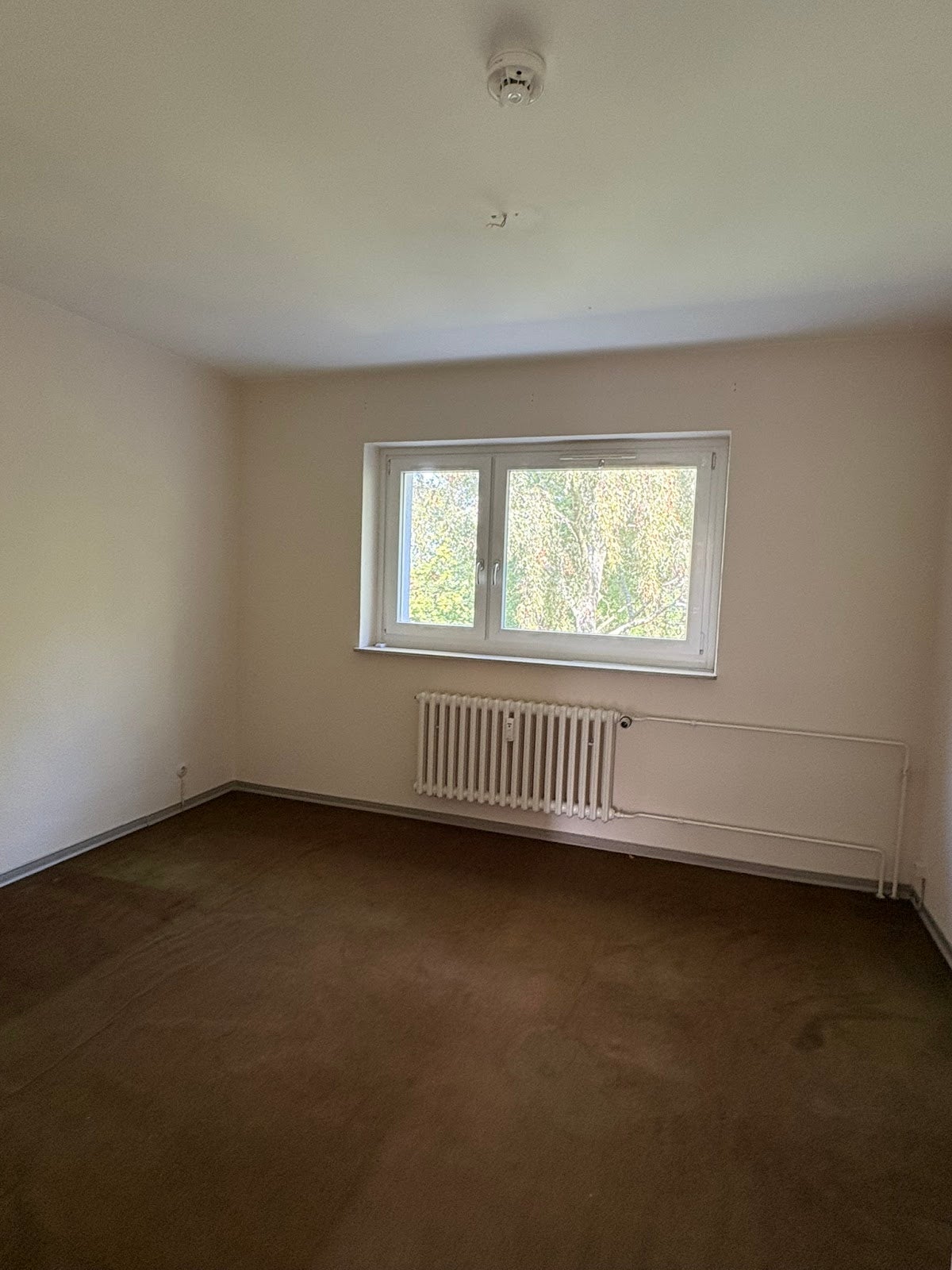 Wohnung Eichenkamp in Elmshorn