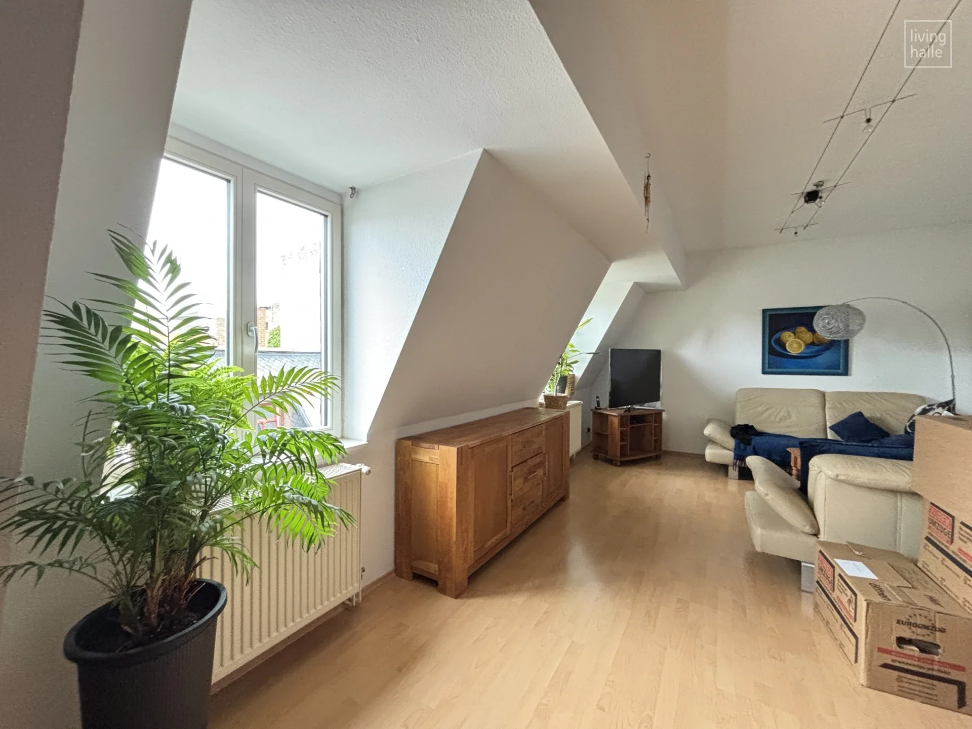Wohnung Kleine Ulrichstraße in Halle (Saale)